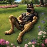 absurd_res animal_genitalia animal_penis anthro canid canine canine_genitalia canine_penis canis director_cougar domestic_dog genitals german_shepherd grass herding_dog hi_res lawn male mammal masturbating masturbation park pastoral_dog penis plant solo spread_legs spreading