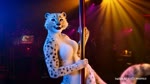 anthro breasts dancing featureless_breasts female light light_beam nightclub nude pole pole_dancing public public_nudity solo background_character felid mammal pantherine snow_leopard animated webm