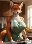 anthro apron big_breasts breasts clothed clothing cooking female fur kitchen nipples orange_body orange_fur partially_clothed solo white_body white_fur ohwellyeah canid canine fox mammal hi_res