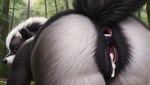 absurd_res all_fours anthro anus black_body black_fur brown_eyes female fluffy fluffy_tail forest forest_background fur furry_body genital_focus genitals hi_res kiran mammal mephitid nature nature_background plant pussy skunk solo tree white_body white_fur