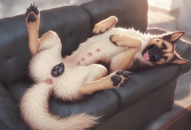 animal_genitalia animal_pussy anus beauty_mark black_body black_claws black_fur black_nose black_pawpads black_pussy brown_body brown_fur canine_genitalia canine_pussy carpet claws female feral fur furniture genitals green_eyes high-angle_view leather_couch living_room looking_at_viewer lying multi_nipple multicolored_body multicolored_fur nipples on_back on_sofa pawpads paws pink_anus pink_nipples pussy smile sofa solo spread_legs spreading tan_body tan_fur tongue tongue_out polar_(director) canid canine canis domestic_dog german_shepherd herding_dog mammal pastoral_dog