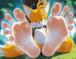 2_tails 5_toes against_natural_surface against_surface against_tree anthro blue_eyes blurred_background blush bodily_fluids feet foot_fetish foot_focus forest fur large_feet looking_at_viewer male mobian multi_tail outside plant presenting sitting sitting_on_ground smile smirk solo spread_toes steam sweat sweaty_body sweaty_feet toes tree white_feet wrinkled_feet wrinkled_soles theaifeetguy sega sonic_the_hedgehog_(series) miles_prower canid canine fox mammal hi_res