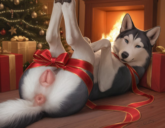 anatomically_correct anatomically_correct_genitalia anatomically_correct_pussy animal_genitalia animal_pussy anus bedroom_eyes black_body black_fur black_nose black_pawpads blue_eyes bodily_fluids bound bow_ribbon butt canine_genitalia canine_pussy christmas christmas_tree digitigrade eyebrows eyelashes female feral fireplace fur genital_fluids genitals gift grey_body grey_fur inner_ear_fluff inside legs_tied legs_together legs_up light looking_at_viewer lying multicolored_body multicolored_fur narrowed_eyes night on_back on_ground pawpads paws pillow pink_anus pink_pussy plant presenting presenting_anus presenting_hindquarters presenting_pussy pussy quadruped ribbons seductive smile solo tree tuft two_tone_body two_tone_fur wall_(structure) white_body wood_floor zerphy canid canine canis domestic_dog husky mammal nordic_sled_dog spitz 2025 alternate_version_at_source hi_res signature