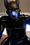 anthro black_body black_fur blue_body blue_fur canid canine clothing fur hi_res male mammal pup_tobey rubber rubber_clothing rubber_suit selfie solo