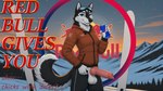 animal_genitalia animal_penis balls big_penis black_body black_fur black_nose blue_eyes bottomwear canine_genitalia canine_penis casual_exposure clothed clothing detailed_background erection eyewear eyewear_on_head fur genitals gynomorph humor intersex jacket knot looking_at_viewer mountain open_bottomwear open_clothing open_pants outside pants penis plant presenting presenting_balls presenting_penis skiing sky smile snow solo standing sunset tail text topwear tree tuft white_balls white_body white_fur huskeyking redbull canid canine canis domestic_dog husky mammal nordic_sled_dog spitz english_text hi_res
