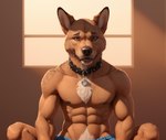absurd_res anthro areola bottomwear bumblebee95 canid canine canis chest_tuft clothed clothing collar crossed_legs detailed detailed_fur domestic_dog hi_res looking_at_viewer male mammal muscular nipples pubes realistic shorts sitting solo topless tuft