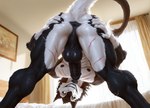 Rating: e
ID: 110598
Date: 2025-06-12 17:03:55 -0400
Status: active
Score: 1
abs anonymous_director anthro anus backsack balls bed bedroom bent_over biceps biped black_anus black_balls black_body black_fur black_glans black_lips black_nipples black_penis black_perineum bodily_fluids butt claws curtains detailed_background dripping erection facial_scar finger_claws fingers foreskin fur furniture genital_fluids genitals glans grin hair hand_on_butt hi_res humanoid_genitalia humanoid_penis inside leaking_precum lips looking_at_viewer looking_back looking_back_at_viewer looking_through looking_through_legs low-angle_view male mammal multicolored_body multicolored_fur muscular muscular_anthro muscular_male nipples nude nude_male pecs penis perineum precum precum_drip presenting presenting_anus presenting_balls presenting_hindquarters puffy_anus raised_tail rear_view scar sergal smile solo spread_anus spread_butt spread_legs spreading standing tail teeth tuft two_tone_body two_tone_fur vein white_balls white_body white_fur window post #110598