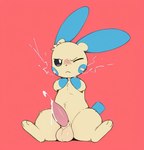 animal_genitalia bodily_fluids feral genitals looking_at_viewer male penis sheath sitting_on_ground solo solo_focus twinkaton nintendo pokemon generation_3_pokemon minun pokemon_(species)