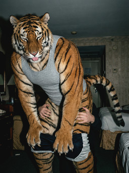 5_fingers anal anthro bed bedroom behind_another bottomwear claws clothed clothing convenient_censorship duo ear_piercing eyes_closed fingers front_view fur furniture hands_on_legs hands_on_thighs hotel_room human_on_anthro interspecies kneeling_on_ground leaning leaning_forward male male/male oral orange_body orange_fur partially_clothed photorealism piercing raised_tail realistic realistic_fur realistic_lighting rimming sex shirt shorts shorts_down size_difference striped_body striped_fur stripes tank_top tongue tongue_out topwear delken felid human mammal pantherine tiger absurd_res hi_res