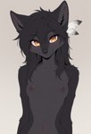 accessory amber_eyes anthro black_body black_hair black_nose blush breasts feather_in_hair feathers female hair hair_accessory long_hair looking_at_viewer navel nipples simple_background small_breasts solo standing translucent translucent_hair zakath canid canine canis mammal wolf hi_res