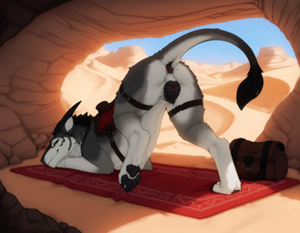 anatomically_correct anatomically_correct_anus animal_genitalia animal_pussy anus ass_up bedroom_eyes black_pawpads black_pussy butt canine_genitalia canine_pussy cave claws desert detailed_background female feral fur genitals grey_body grey_fur inside looking_at_viewer looking_back multicolored_anus narrowed_eyes outside pawpads paws pink_anus presenting presenting_anus presenting_hindquarters presenting_pussy pussy quadruped raised_tail saddle seductive smile solo tail tail_anus tail_tuft thigh_strap tuft two_tone_anus white_body white_fur anotheranon canid canine canis felkin hybrid mammal absurd_res hi_res