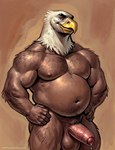 accipitrid accipitriform anthro avian bald_eagle balls beak bird bodily_fluids body_hair brown_body brown_feathers chest_hair conchiglie dripping eagle eyebrows feathers foreskin genital_fluids genitals hands_on_hips humanoid_genitalia humanoid_penis looking_at_viewer male musclegut muscular muscular_male navel nipples overweight penis precum precum_drip sea_eagle simple_background smile solo white_body white_feathers yellow_beak yellow_eyes