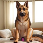 absurd_res canid canine canis dildo dildo_sitting domestic_dog female female_focus feral fur genitals german_shepherd herding_dog hi_res jelloponies looking_at_viewer mammal multicolored_body multicolored_fur pastoral_dog penetration pussy sex_toy solo solo_focus upside_down_pussy vaginal vaginal_penetration