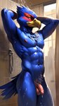 anthro avian balls bedroom_eyes bird blue_body falco_lombardi feathered_crest feathers featureless_chest genitals head_crest hi_res longhorn_(director) looking_at_viewer male narrowed_eyes nipples nude seductive seductor shower showering solo star_fox starfox tail_feathers water wet