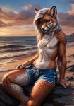 andromorph anthro beach blue_eyes breasts chest_tuft clothing countershade_torso countershading ear_piercing eyeliner female flat_chested fluffy fluffy_chest fur hair intersex looking_at_viewer makeup neck_tuft orange_body orange_fur piercing seaside silver_hair sitting solo swimming_trunks swimwear tuft undercut wavy_hair white_body white_fur flashasmile101 sylvara_(flashasmile101) canid canine fox mammal hi_res