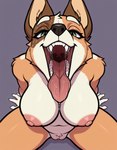 anthro black_nose bodily_fluids breasts brown_body brown_fur cheek_tuft drooling eyelashes facial_tuft female fur gaping_mouth genitals green_eyes high-angle_view looking_at_viewer mouth_shot multicolored_body multicolored_fur open_mouth oral_invitation orange_body orange_fur pussy saliva saliva_string simple_background sitting solo solo_focus teeth tuft white_body white_fur mawpup bluey_(series) chilli_heeler australian_cattle_dog canid canine canis cattledog domestic_dog herding_dog mammal pastoral_dog hi_res