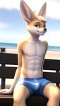 absurd_res anthro beach bench big_ear canid canine clothing digimacska17 fennec fox fur hair hi_res looking_at_viewer male mammal multicolored_body muscular navel nipples nude orange_body orange_eyes orange_fur sea seaside seductive smile solo water whiskers white_body white_fur