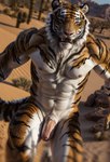 abs anthro belly biceps cactus chest_tuft desert felid foreskin fur genitals hi_res looking_at_viewer male mammal muscular muscular_anthro muscular_male navel nipples orange_body orange_eyes orange_fur pantherine pecs penis pink_nipples pink_nose plant rock running sand solo stablexai striped_body striped_fur stripes teeth tiger tuft white_belly white_body white_fur