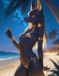 anthro beach bikini black_body black_hair clothing desert female hair night seaside solo swimwear anubis deity