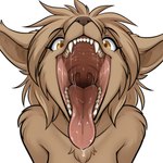 anthro bodily_fluids brown_body brown_eyes brown_fur brown_nose drooling eyebrows eyelashes female fluffy_fur fur gaping_mouth hair looking_at_viewer mouth_shot open_mouth saliva saliva_string scary simple_background solo teeth tongue tongue_out mawpup twokinds madelyn_adelaide basitin hi_res