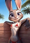 anthro bikini clothing detailed_fur dialogue ears_up expressive female leaning leaning_back micro_bikini outdoors palm_tree pinup plant pose purple_eyes red_bikini red_clothing red_swimwear sky small_waist smile solo swimwear talking_to_viewer tree zootopia babeyax715 judy_hopps lagomorph leporid mammal rabbit animated detailed