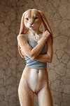 anthro bottomless clothed clothing crop_top female genitals inside looking_at_viewer pussy shirt solo standing topwear denis0k lagomorph leporid mammal rabbit hi_res