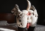 animal_genitalia animal_penis anthro anus anus_focus balls bed bedroom bent_over big_butt bottomwear butt butt_focus canine_genitalia canine_penis clothing femboy fur furniture genitals girly hand_on_butt implied_oral implied_sex legwear light looking_back male multicolored_body multicolored_fur penis pink_anus presenting presenting_anus presenting_hindquarters raised_tail red_penis seductive simple_background skirt solo spots spotted_body spotted_fur spread_anus spread_butt spreading thick_thighs thigh_highs white_body white_butt white_fur wide_hips potato_salad canid canine canis dalmatian domestic_dog mammal hi_res lighting