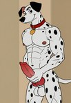 101_dalmatians animal_genitalia animal_penis anthro anthrofied athletic balls canine_penis collar erection genitals knot looking_at_viewer male masturbation nipples nude penile penile_masturbation penis solo pc-king pongo canid canine canis dalmatian domestic_dog mammal