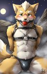 absurd_res anthro ball_gag bdsm belly black_nose blush blush_lines bodily_fluids bondage bound breath briefs bulge canid canine cel_shading chest_tuft clothed clothing crotch_tuft digital_media_(artwork) dripping easyfluffv11.2_(model) embarrassed eyebrows fluffy fluffy_tail fox fox_mccloud front_view full_moon fur gag gagged green_eyes hair hands_behind_back harness helpless hi_res kemono leather leather_clothing looking_at_viewer male mammal moon navel neck_tuft night outside questionable_consent rock saliva saliva_drip scoutr shaded sitting sitting_in_water sky slim solo spread_legs spreading star star_fox starry_sky steam tan_belly tan_hair tight_underwear tuft underwear underwear_only water watermark yellow_body yellow_fur