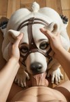 Rating: e
ID: 105130
Date: 2025-05-09 17:18:04 -0400
Status: active
Score: 13
all_fours anthro blue_eyes bodily_fluids bridle deep_throat duo fellatio female first_person_view fur head_grab hi_res high-angle_view hindpaw human human_on_anthro interspecies kneeling looking_at_another looking_at_partner male male/female mammal nipples nnam_si3 on_ground oral pawpads paws penile photorealism polar_bear realistic realistic_fur realistic_lighting saliva sex tongue ursid ursine white_body white_fur wood_floor post #105130