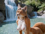 anthro areola braided_hair breasts brown_body brown_fur day detailed_background eyebrows eyelashes female fur hair inner_ear_fluff looking_at_viewer nipples nude orange_body outside pink_nipples smile smiling_at_viewer solo tuft water waterfall wet wet_body whiskers white_body white_fur lewdtf canid canine fox mammal 2021 absurd_res digital_media_(artwork) hi_res