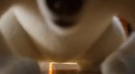 anthro butt butt_focus camera_sitting crotch_focus crotch_shot facesitting facesitting_pov feet fur low-angle_view male paws sitting sitting_on_viewer solo walking_backwards walking_towards_viewer white_body white_fur shut_up_and_watch mammal polar_bear ursid ursine animated short_playtime webm