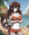 anthro beach bikini bikini_top black_hair black_nose bottomwear bra breasts brown_body brown_fur brown_hair chest_tuft cleavage clothed clothing cloud crossed_arms day detailed_background dipstick_tail female fur green_eyes hair long_hair looking_at_viewer markings midriff multicolored_body multicolored_fur navel outside plant pouting rock sand seaside shorts sky solo standing swimwear tail_markings tuft twokinds underwear water white_body white_fur anontk raccoon_girl_(tom_fischbach) ailurid mammal procyonid raccoon hi_res