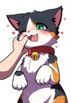 <3 ambiguous_gender bell bell_collar blush calico_pattern collar feral finger_in_mouth green_eyes mottled offscreen_character petting piebald tongue fluffball fluffball_(fluffball) calico_cat domestic_cat felid feline felis human mammal hi_res