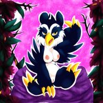 anthro avian blue_body blue_feathers breasts claws feathers female flower genitals gesture hi_res lendri_mujina neopet_(species) nipples nude pillow plant pussy simple_background sitting solo vandagyre waving yellow_eyes