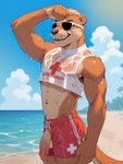 anthro athletic beach beach_background blonde_hair bottomwear brown_body brown_fur clothing cross eyewear fur genitals hair hand_on_head lifeguard male outside penis poking_out sea seaside shorts smile solo standing sunglasses sunny text text_on_clothing topwear translucent translucent_clothing water wet wheel_of_fortune lutrine mammal mustelid hi_res