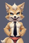 anthro blue_eyes bottomwear brown_body brown_fur chippendale clothed clothing fur hands_on_hips looking_at_viewer male male_stripper necktie simple_background smile solo stripper underwear underwear_only white_body white_fur harmfulpilot nintendo star_fox fox_mccloud canid canine canis fox mammal hi_res portrait