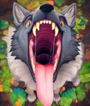 anthro bodily_fluids canid canine canis detailed fangs fur gaping_mouth grey_body grey_fur high-angle_view imminent_vore looking_at_viewer male mammal mouth_shot open_mouth oral_invitation presenting_mouth saliva saliva_string solo teeth tongue tongue_out white_body white_fur wolf