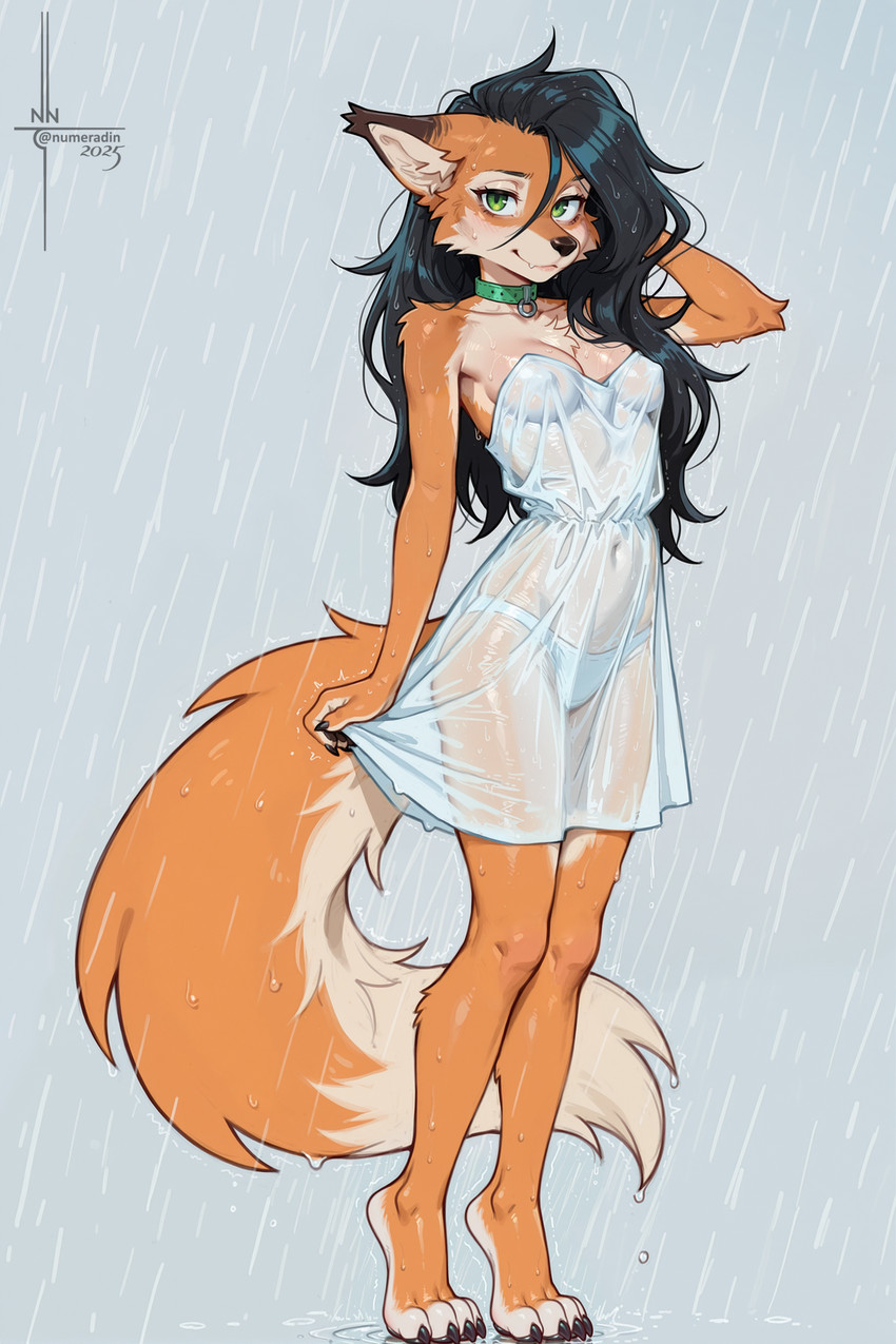 anya directed by numeradin