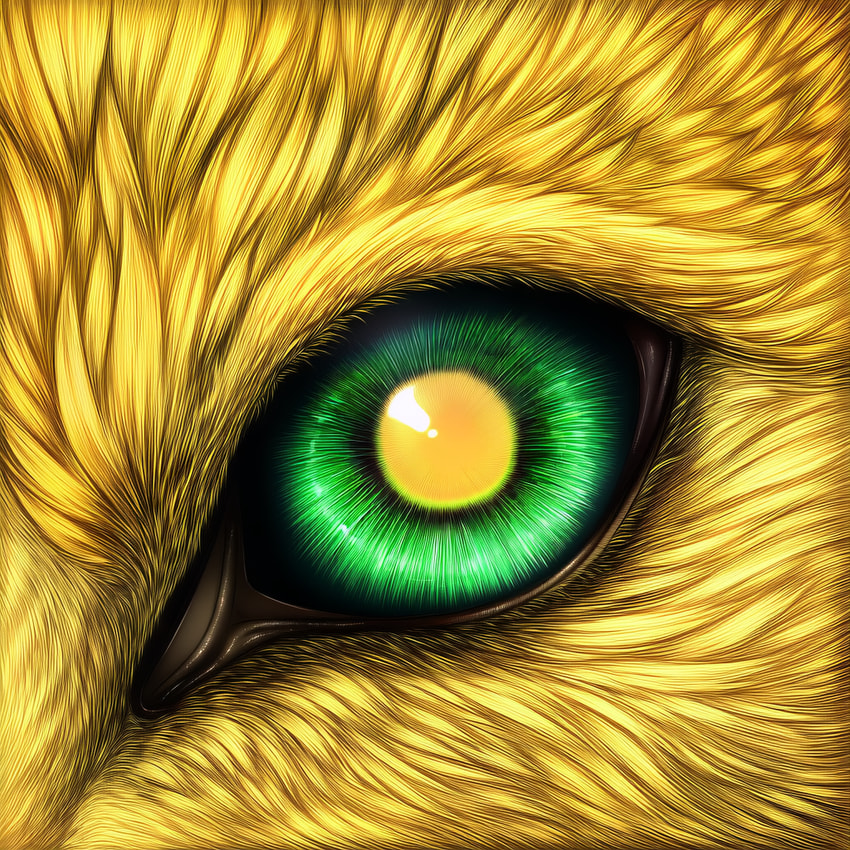 goldforest directed by goldforest (director)