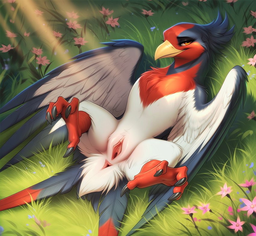 anus female feral flower genitals grass light light_beam lying on_back plant presenting presenting_pussy pussy solo sunbeam sunlight lightning7 nintendo pokemon avian generation_3_pokemon pokemon_(species) swellow absurd_res hi_res