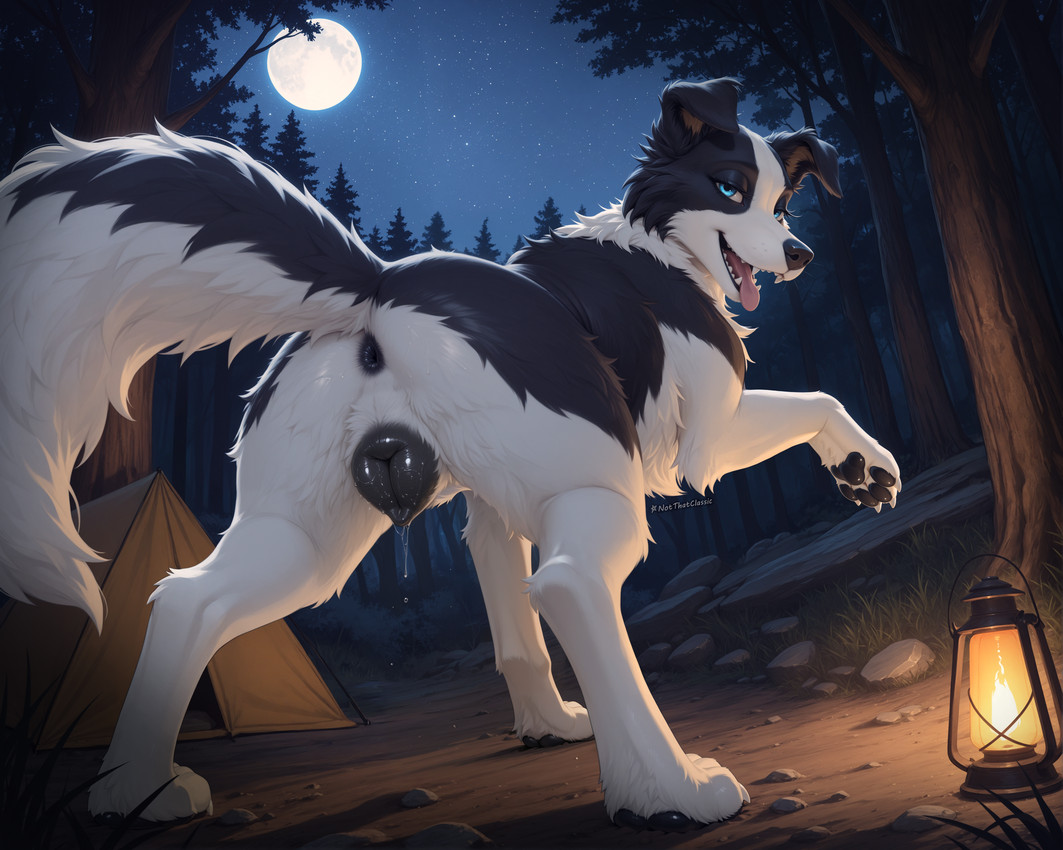 directed by notthatclassic