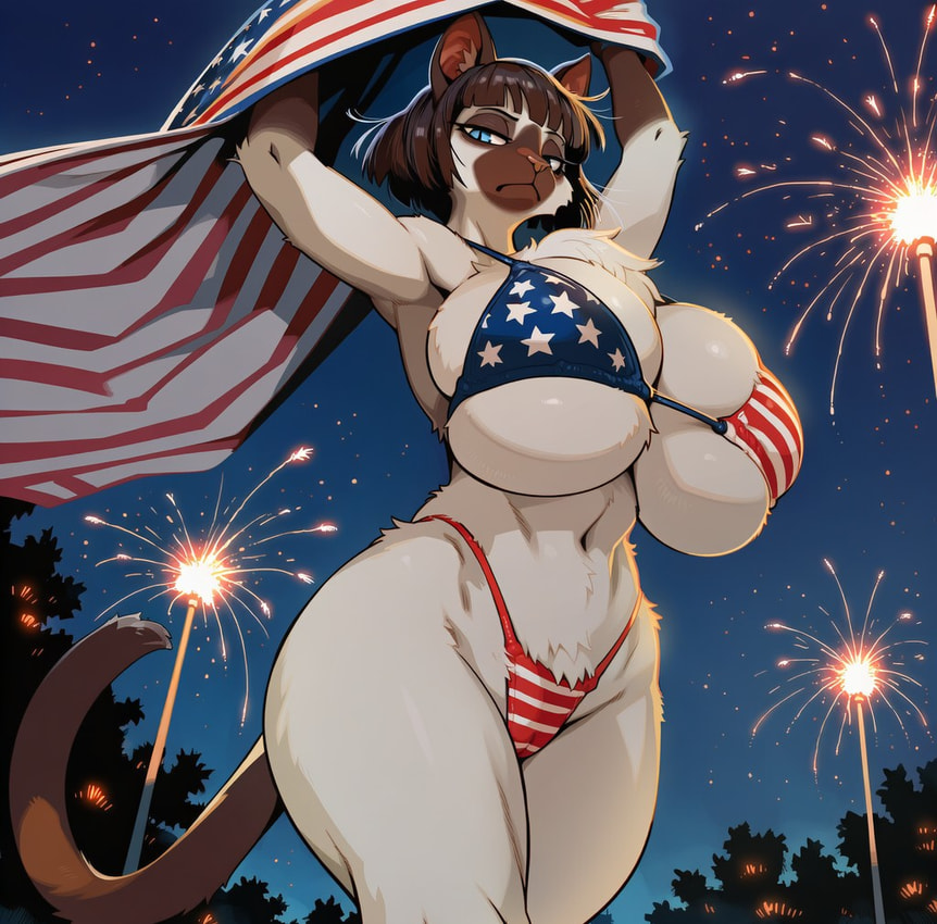 fan character (4th of july and etc) directed by anonymous director