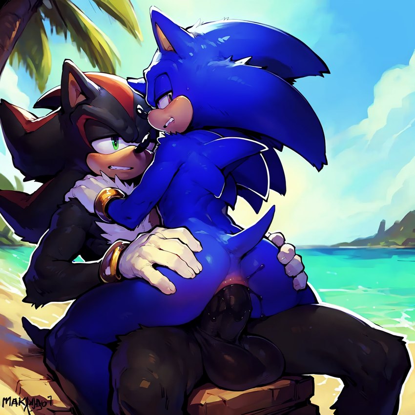 shadow the hedgehog and sonic the hedgehog directed by styx343