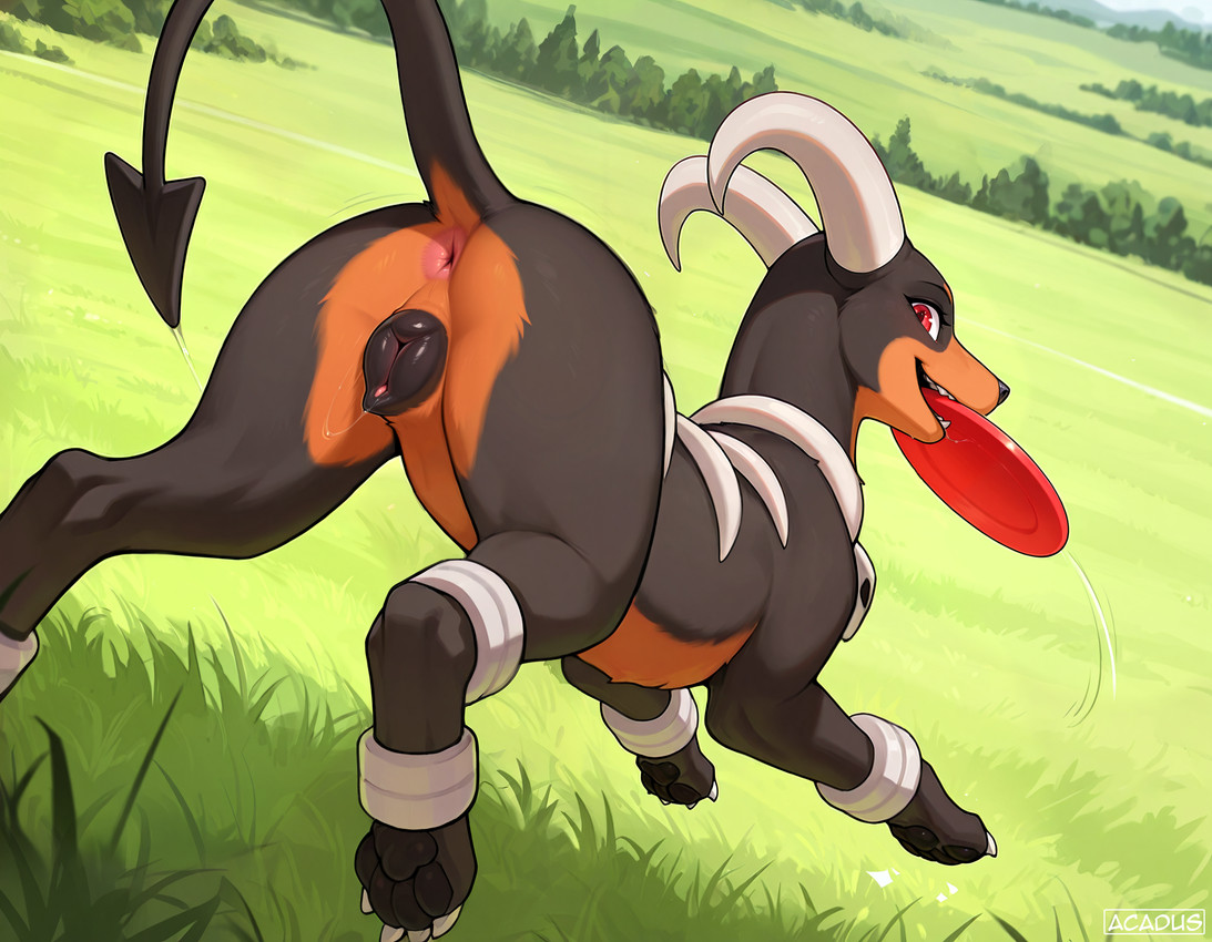 (nintendo and etc) directed by acadus