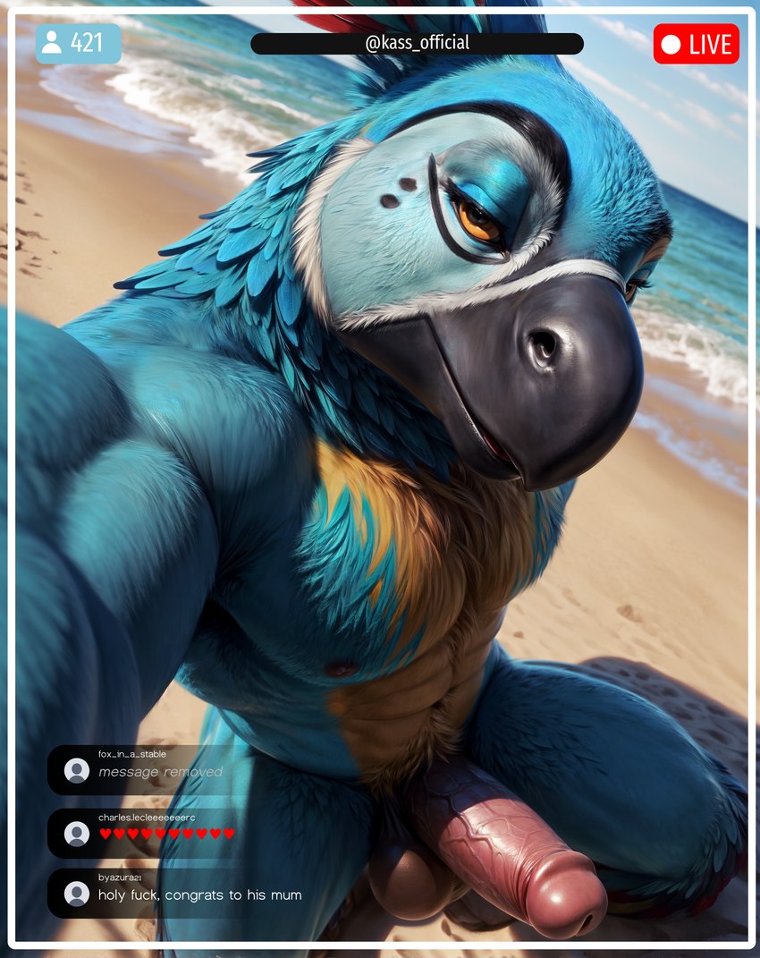 abs anthro balls beach beak bedroom_eyes big_balls big_penis black_beak blue_body blue_feathers detailed_background erection exhibitionism feathers genitals humanoid_genitalia humanoid_penis light livestream looking_at_viewer male multicolored_body muscular muscular_male narrowed_eyes nipples nude outdoors outside pecs penis presenting public realistic sand sea seaside seductive selfie solo tuft vein veiny_penis water notte kass_(tloz) avian bird parrot rito 4k absurd_res alternate_version_at_source colored colorful detailed digital_media_(artwork) full-length_portrait hi_res lighting portrait shaded soft_shading warm_colors