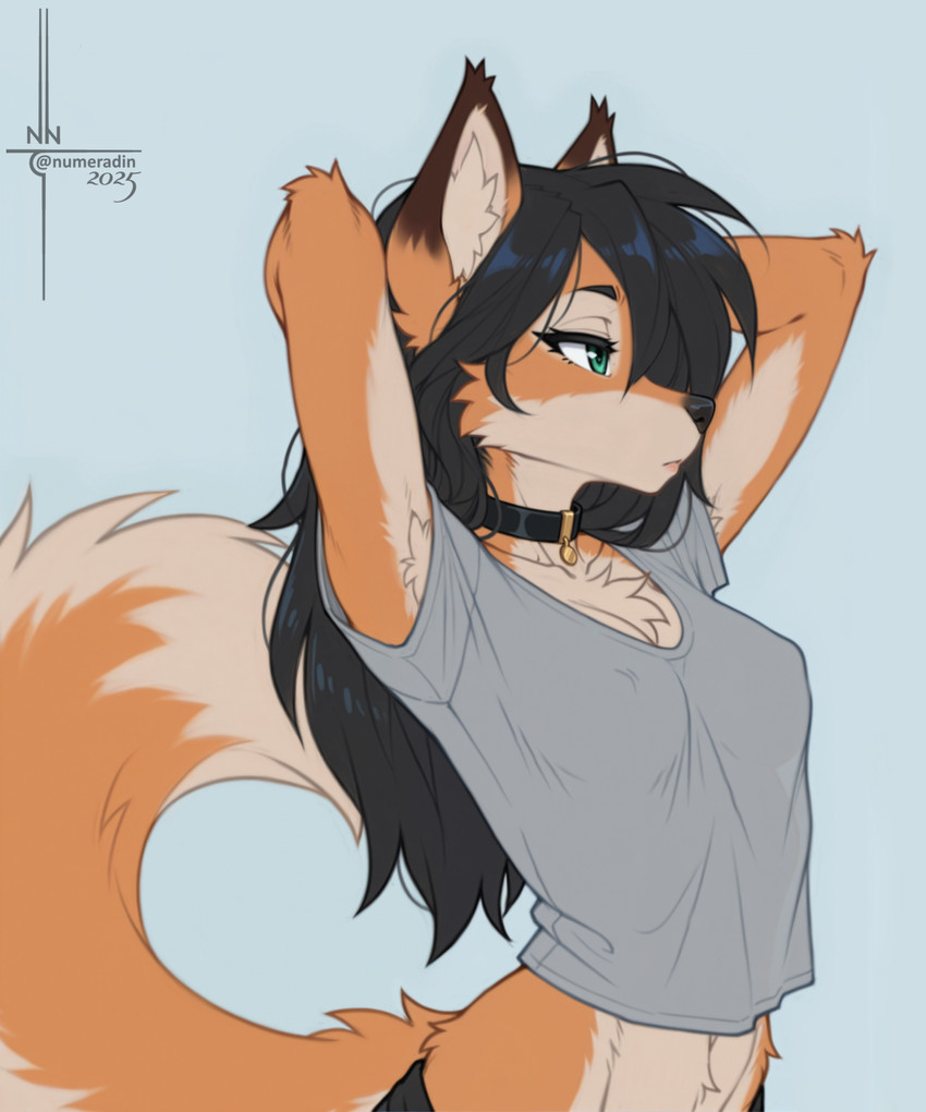 accessory anthro armpit_showing asymmetrical_undercut black_hair black_nose breasts chest_tuft chestnut_mouth claws clothing collar countershading facial_tuft female fingers fluffy fluffy_tail fur glistening glistening_lips green_eyes hair hair_accessory hand_behind_head huge_tail lidded_eyes lips looking_forward midriff natural_breasts navel nipple_outline orange_body orange_fur pose shirt smile solo standing t-shirt three-quarter_view topwear translucent tuft white_body white_countershading numeradin anya_(numeradin) canid canine fox mammal hi_res portrait three-quarter_portrait