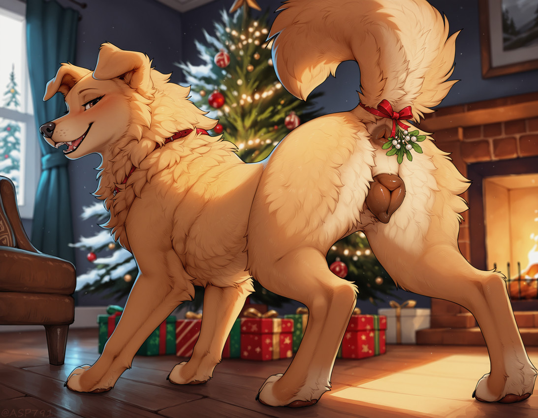 (christmas) directed by asp791 (director)