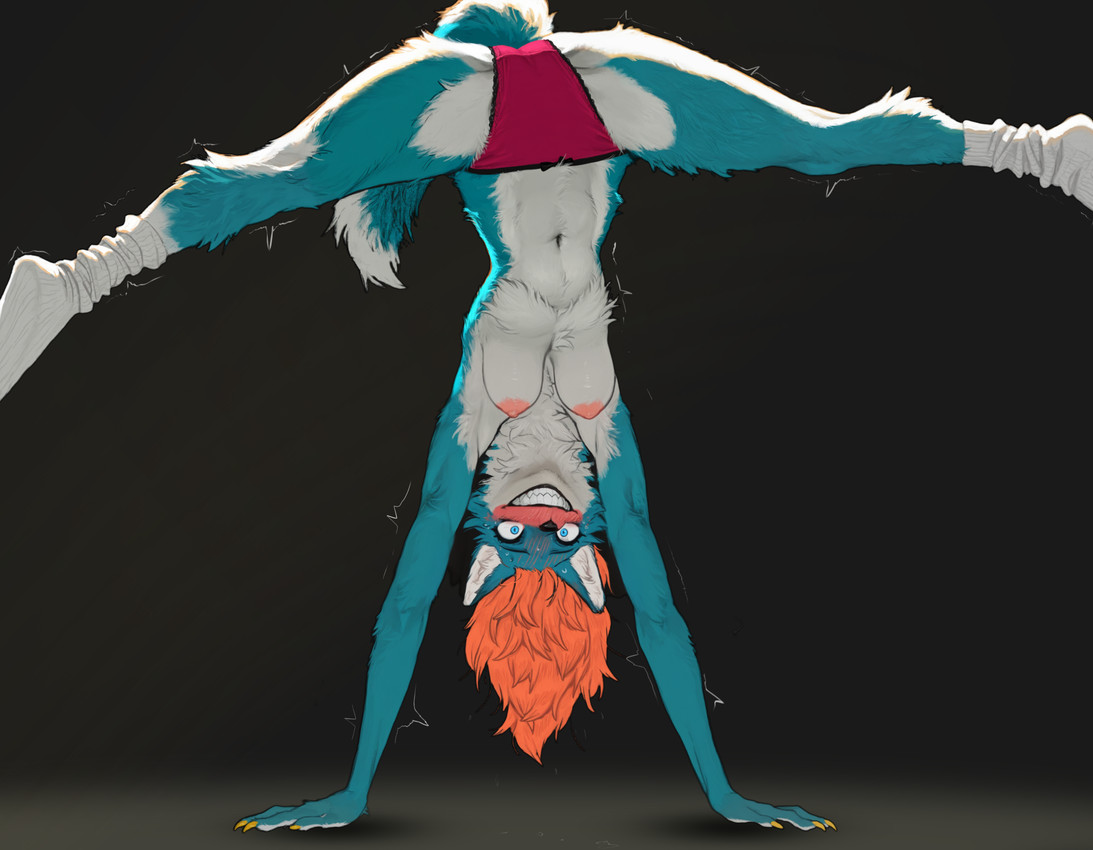 anthro areola blue_body blue_fur blush breasts camel_toe claws clothed clothing female footwear frilly frilly_clothing frilly_panties frilly_underwear fur hair handstand hanging_breasts legwear looking_at_viewer nails navel nipples orange_hair panties panties_only pink_clothing pink_footwear pink_panties pink_socks pink_underwear simple_background smile socks solo spread_legs spreading tail teeth topless tuft underwear underwear_only upside_down white_body white_fur yellow_claws soloko kara canid canine canis mammal wolf hi_res