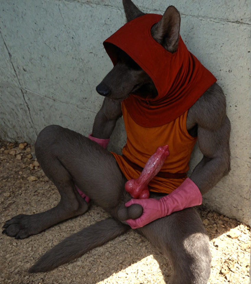 anatomically_correct anatomically_correct_genitalia anatomically_correct_penis animal_genitalia animal_penis anthro ball_grab balls belt bottomless canine_genitalia canine_penis clothed clothing detailed_fur digitigrade erection fur genitals gloves grey_body grey_fur hand_on_balls handwear high-angle_view hood knot leaning_on_wall male muscular muscular_anthro muscular_male obscured_eyes outside partially_clothed paws penis photorealism prick_ears realistic realistic_fur realistic_lighting sitting_on_ground solo spread_legs spreading sunny tail tunic wall_(structure) delken robin_hood_(disney) canid canine canis mammal wolf detailed hi_res